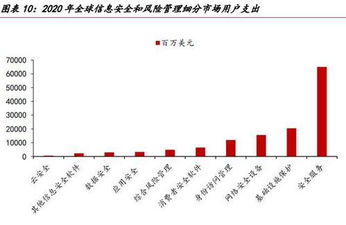 網(wǎng)絡(luò)安全的未來(lái)在于服務(wù) 網(wǎng)絡(luò)與信息安全軟件開發(fā)的發(fā)展趨勢(shì)